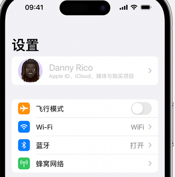 舞阳appleID维修服务iPhone设置中Apple ID显示为灰色无法使用