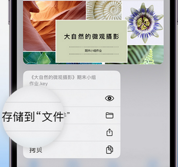 舞阳apple维修中心分享iPhone文件应用中存储和找到下载文件