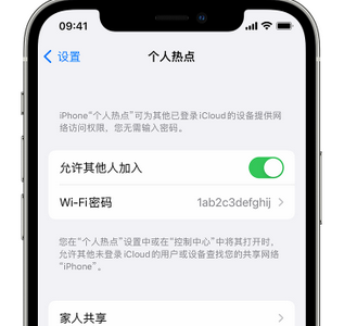 舞阳apple服务站点分享iPhone上个人热点丢失了怎么办 