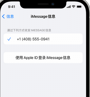 舞阳apple维修iPhone上无法正常发送iMessage信息 