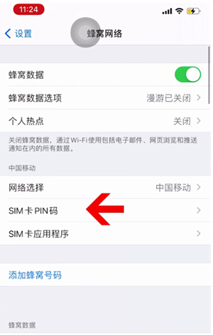 舞阳苹果14维修网分享如何给iPhone14的SIM卡设置密码 