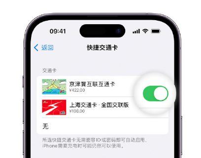 舞阳apple维修点分享iPhone上更换Apple Pay快捷交通卡手绘卡面 