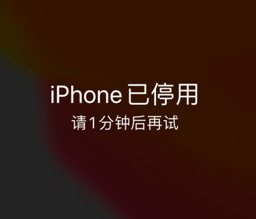 舞阳苹果手机维修分享:iPhone 显示“不可用”或“已停用”怎么办？还能保留数据吗？ 