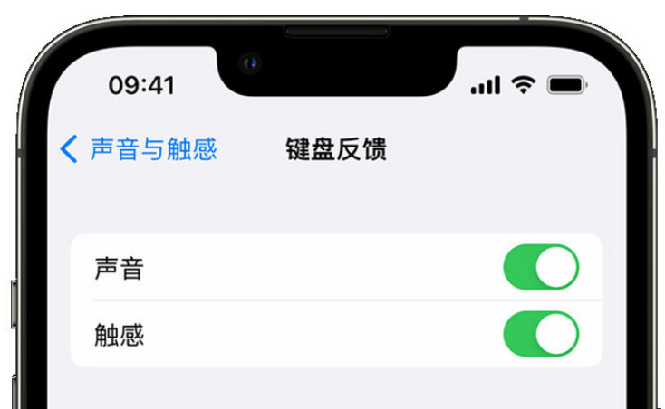 舞阳苹果手机维修分享iPhone 14触感键盘使用方法 