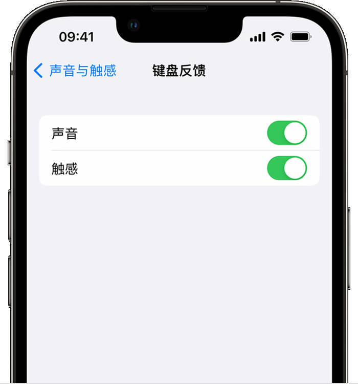 舞阳苹果14维修店分享如何在 iPhone 14 机型中使用触感键盘 