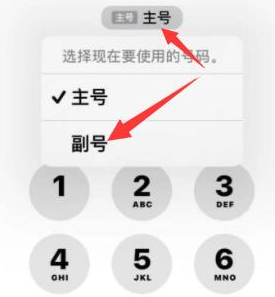 舞阳苹果14维修店分享iPhone 14 Pro Max使用副卡打电话的方法 