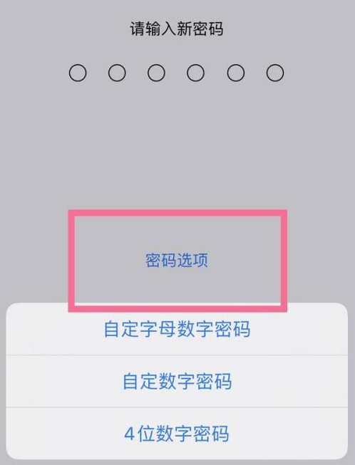 舞阳苹果14维修分享iPhone 14plus设置密码的方法 