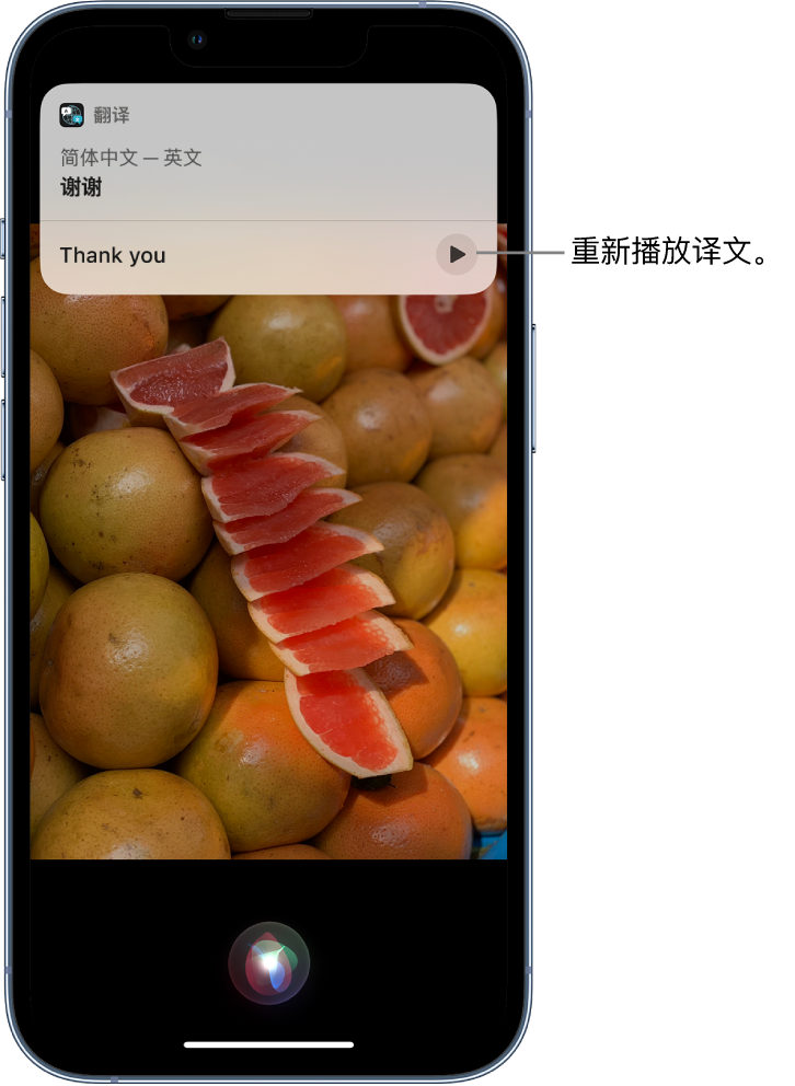 舞阳苹果14维修分享 iPhone 14 机型中使用 Siri：了解 Siri 能帮你做什么 