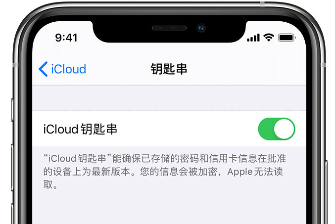 舞阳苹果手机维修分享在 iPhone 上开启 iCloud 钥匙串之后会储存哪些信息 